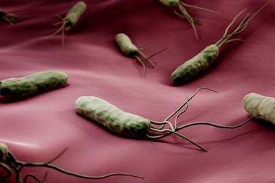 H-Pylori